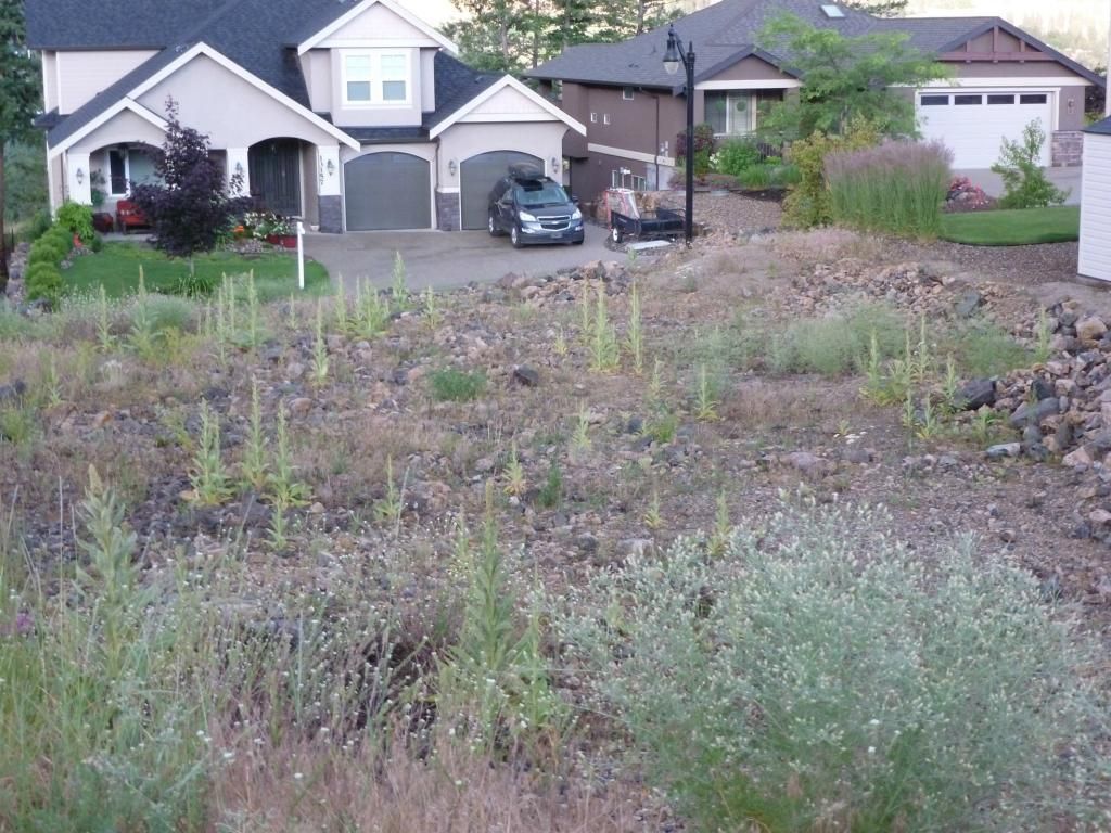 listing image 16511158584871096435