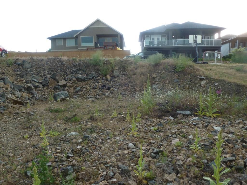 listing image 16516944574183967653
