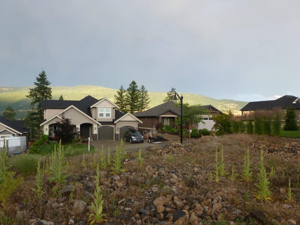 listing image 16518103170358654347