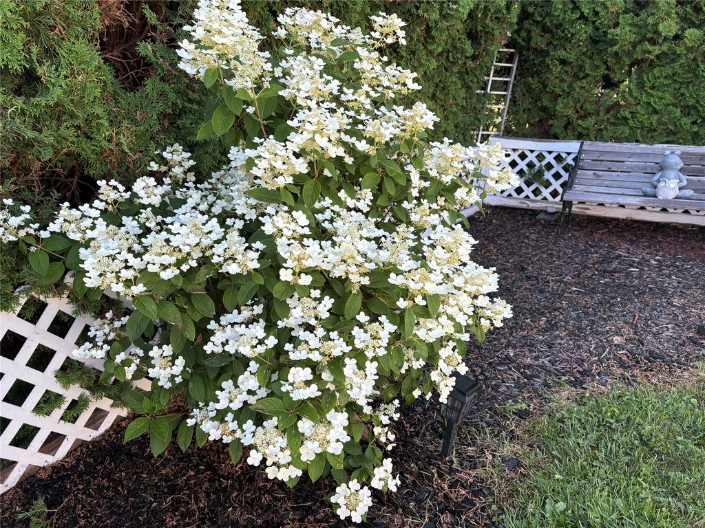 listing image 16518457153436600517