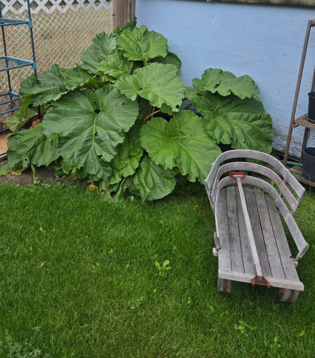 listing image 16518277797948709353