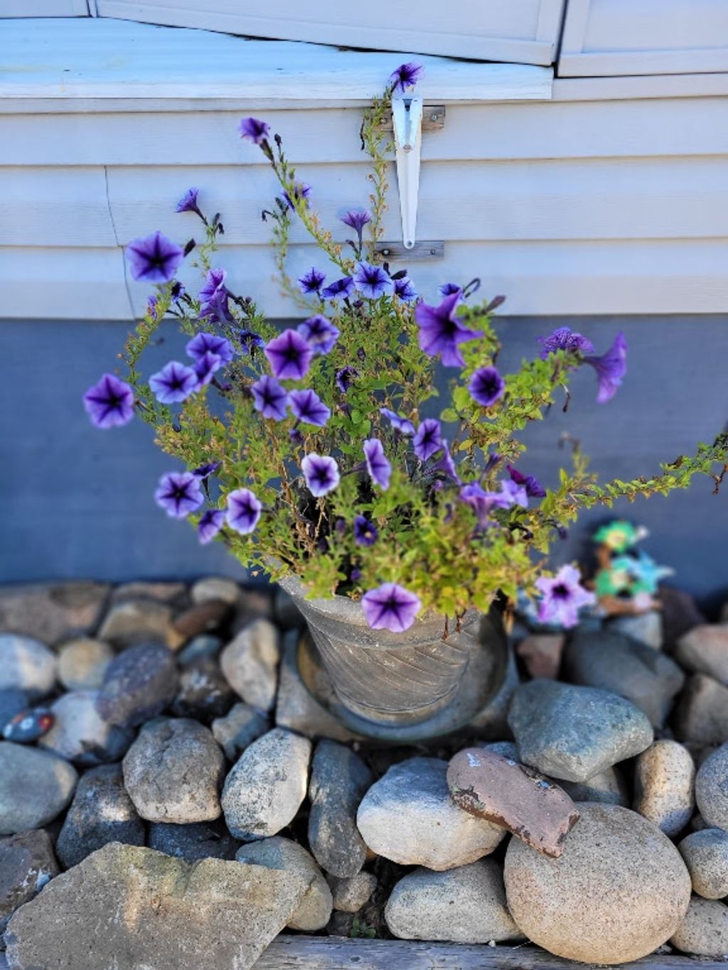 listing image 16512404305262673588