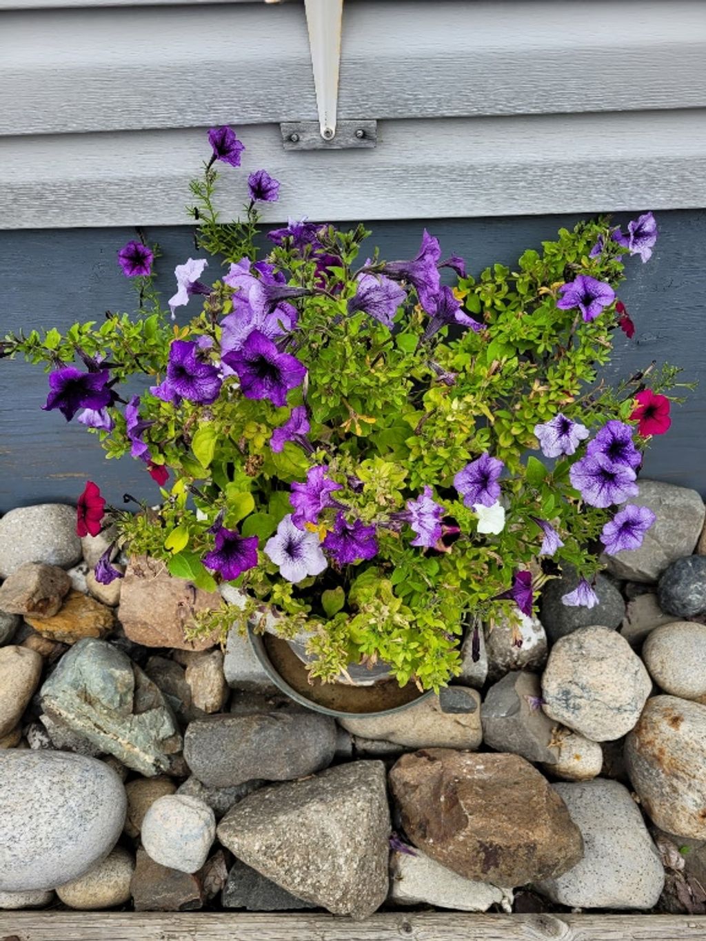 listing image 16518700505100982721