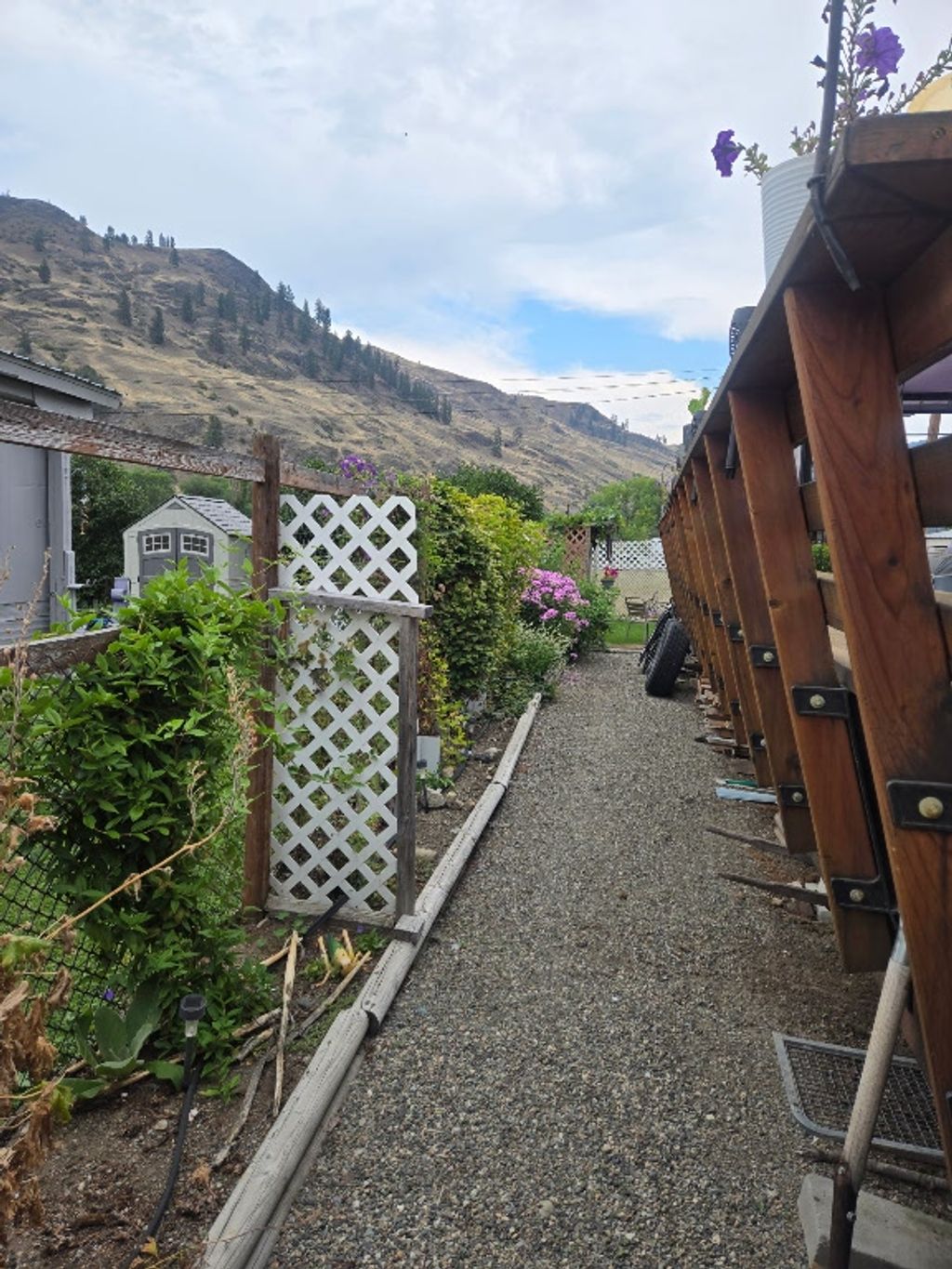 listing image 16515563870273850587