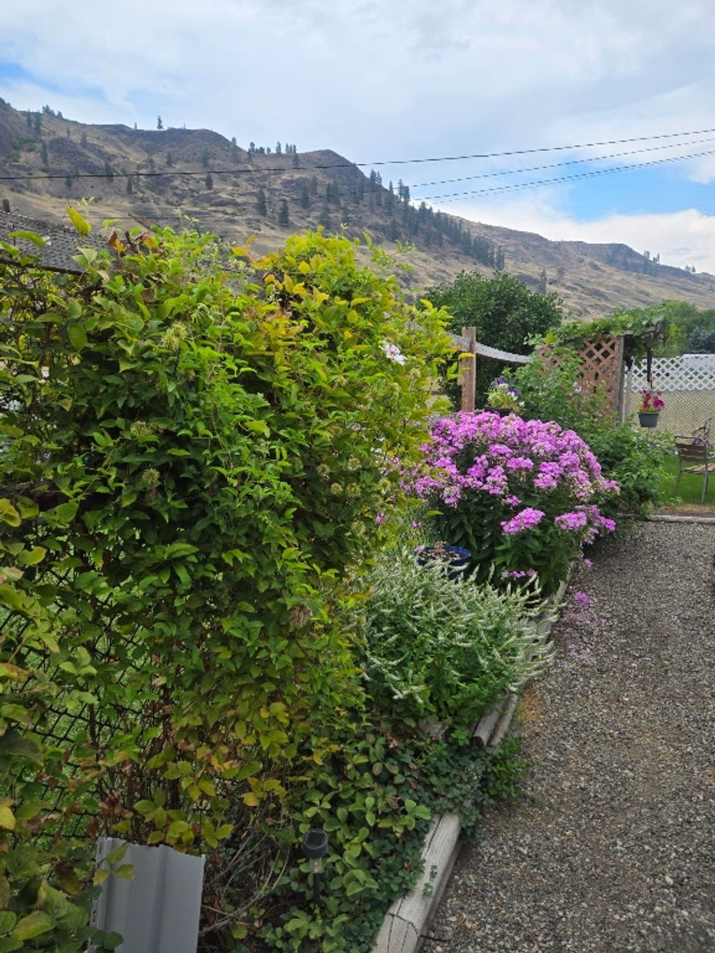 listing image 16510343371681826263