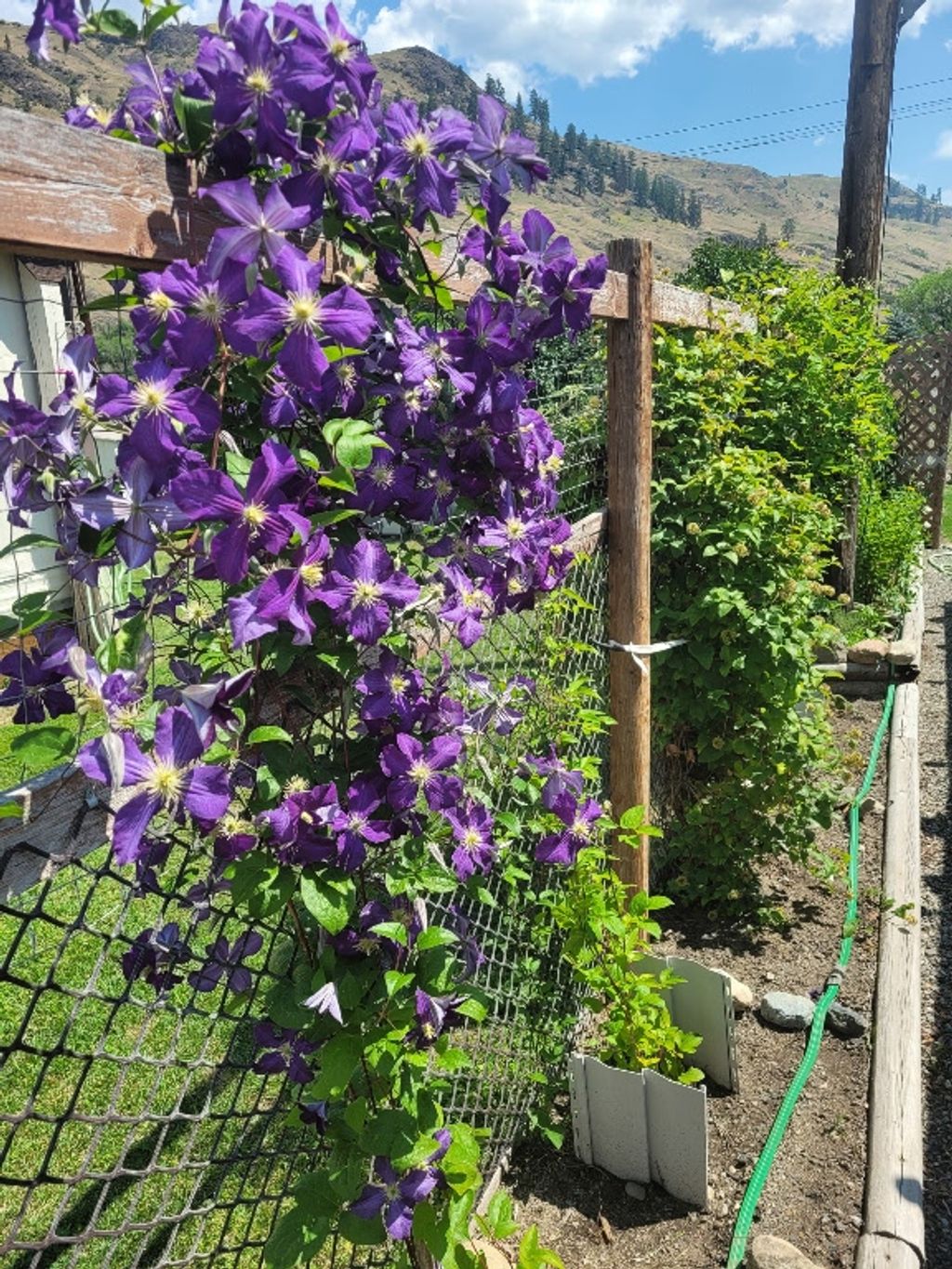 listing image 16518757408044155832