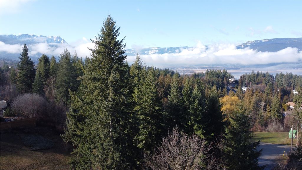 listing image 16516910548362828636