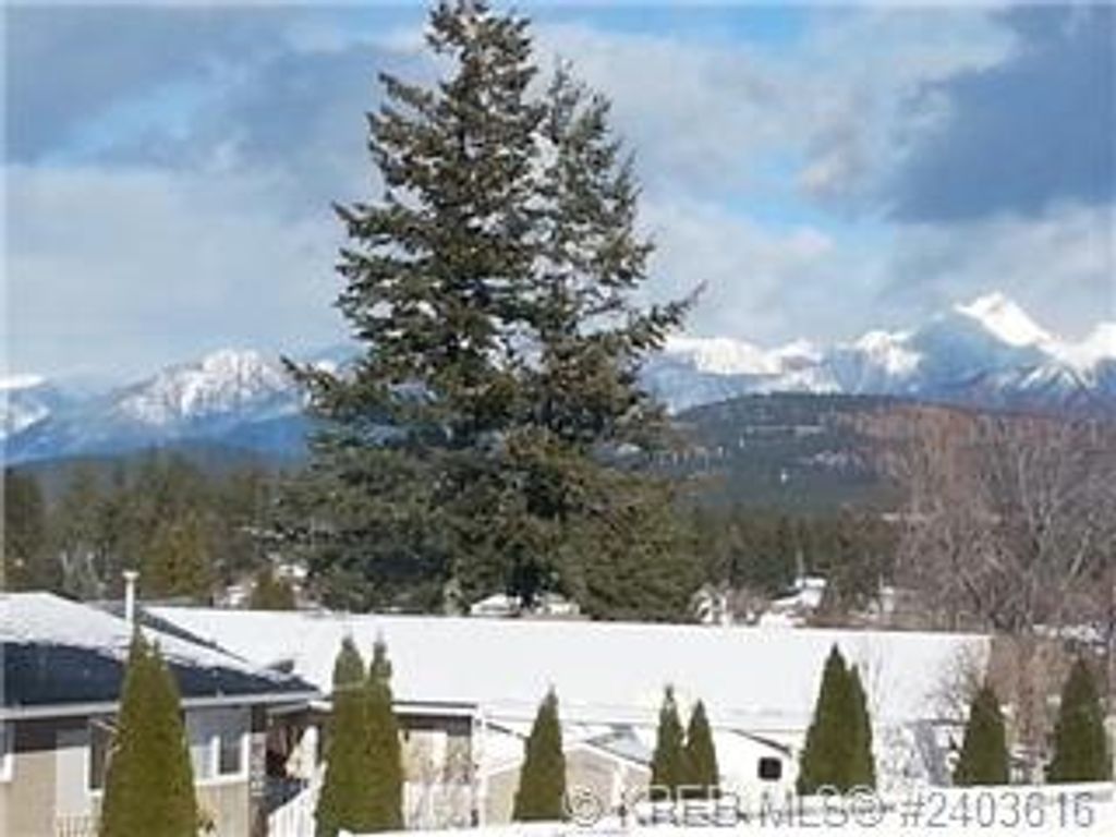 listing image 16518002916520504845