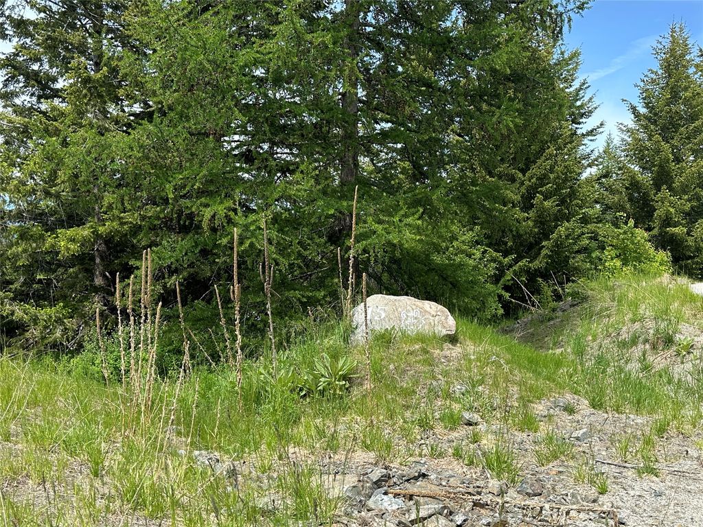 listing image 16516463033818419146