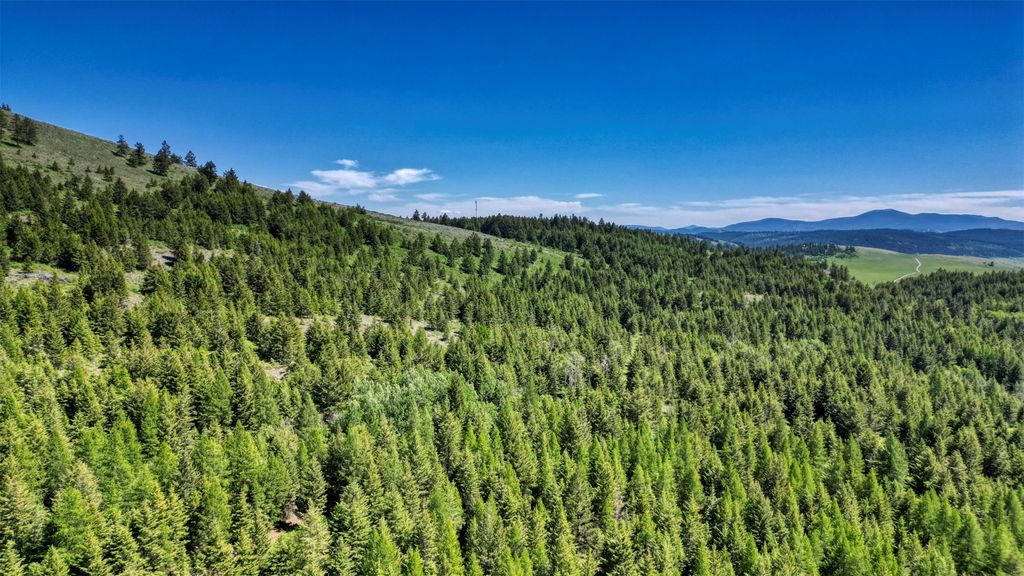 listing image 16515851828939927639