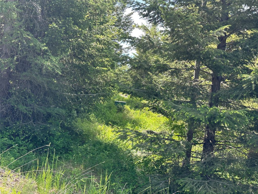 listing image 16513176852014760565