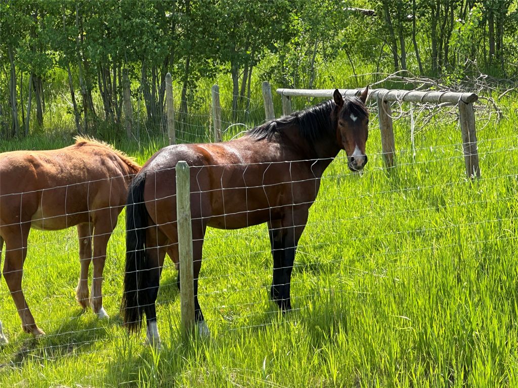 listing image 16512602616134014836