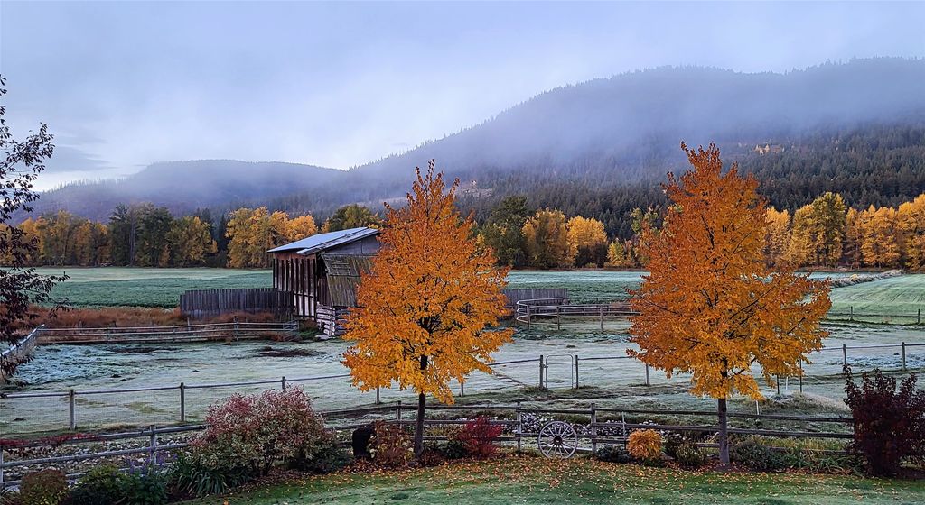 listing image 16513819851406704686