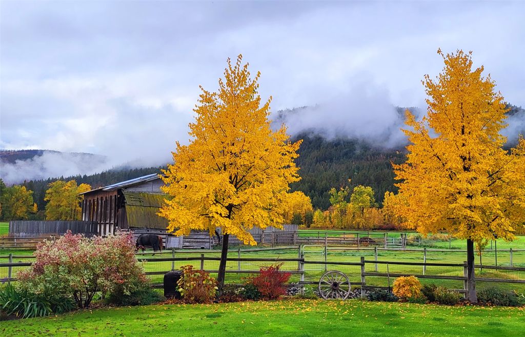 listing image 16519352159881593228