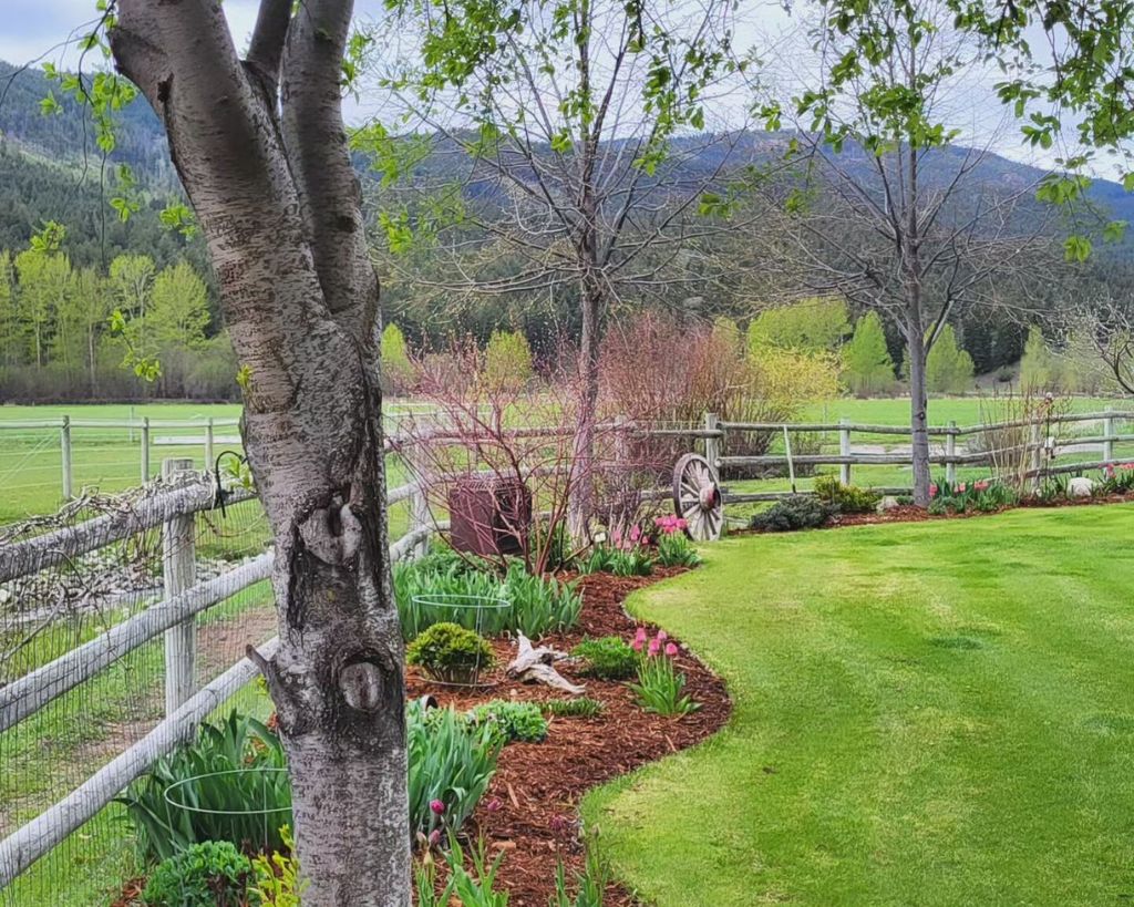 listing image 16516888099412391616