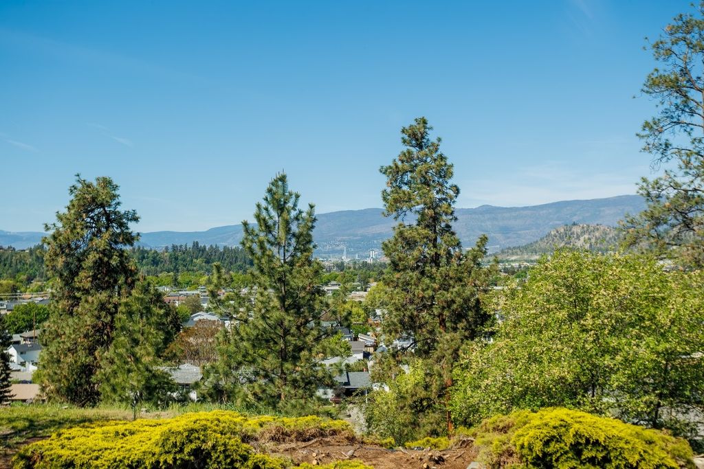 listing image 16511866607313851111