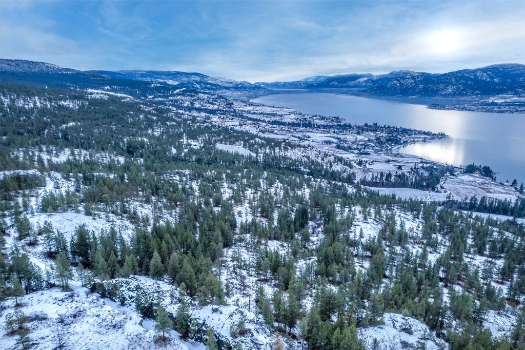 listing image 16510345226889443770
