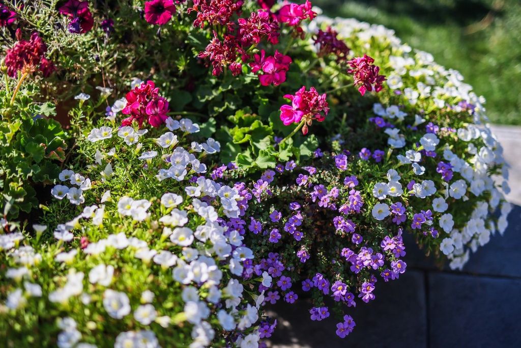 listing image 16517747843390165456