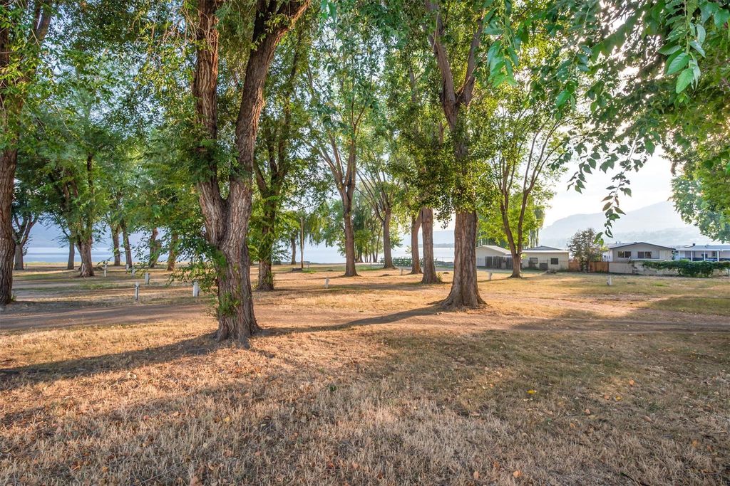 listing image 16516030045862543466