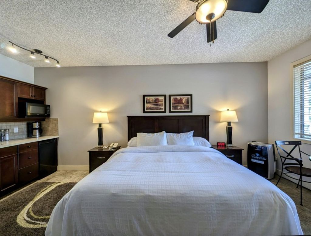 listing image 16514756651361574479