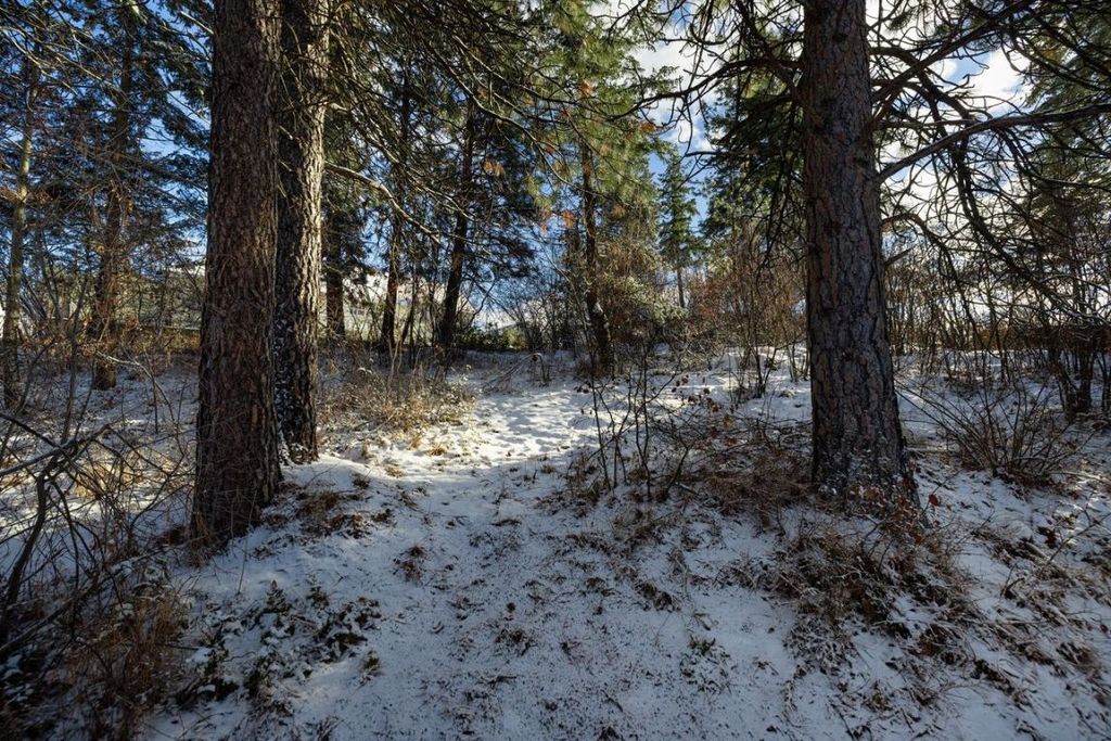 listing image 16510845963922428994
