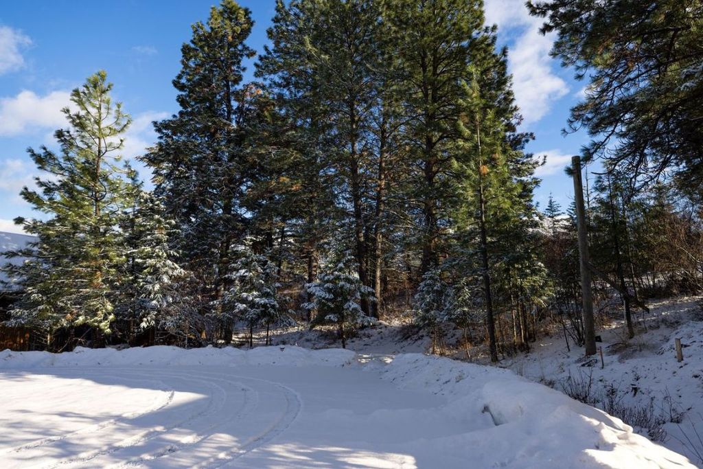listing image 16510575852604021894