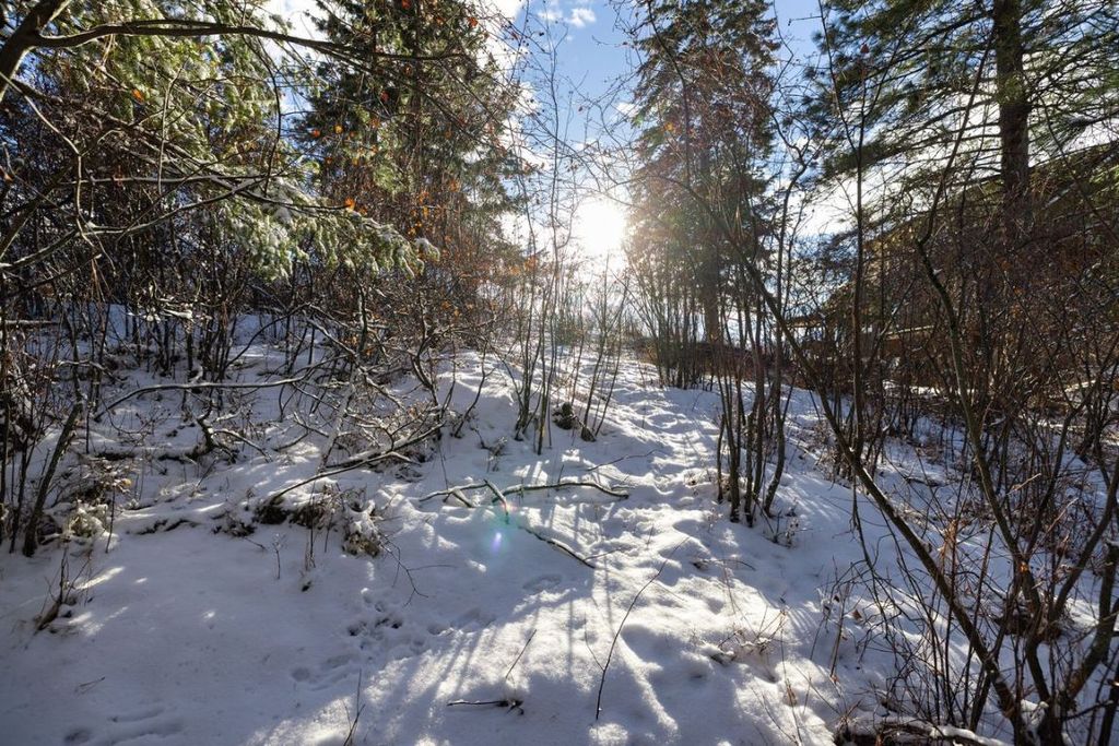 listing image 16518508230397663469