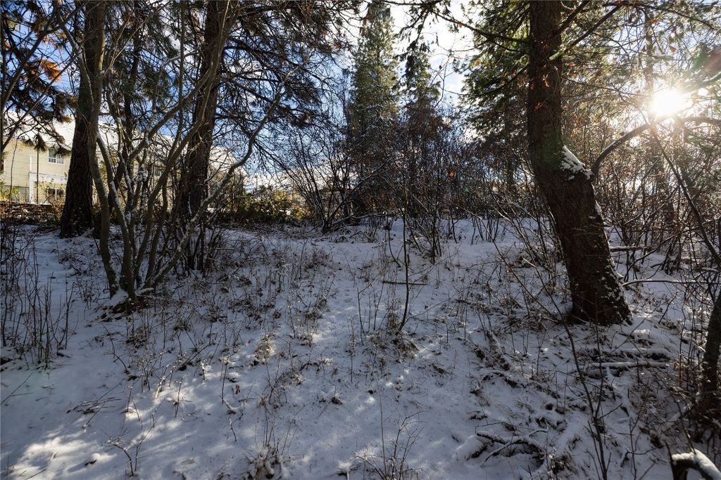 listing image 16513476554595609322
