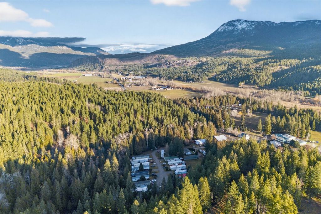 listing image 16516619251329214979