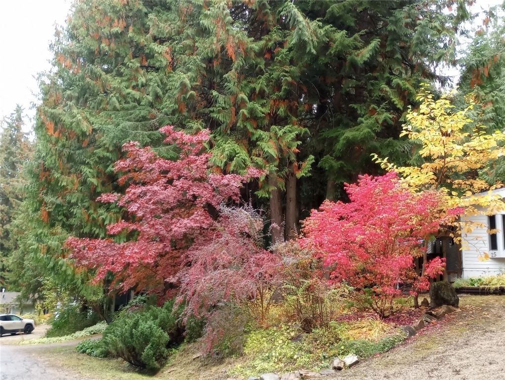 listing image 16513852205988878788