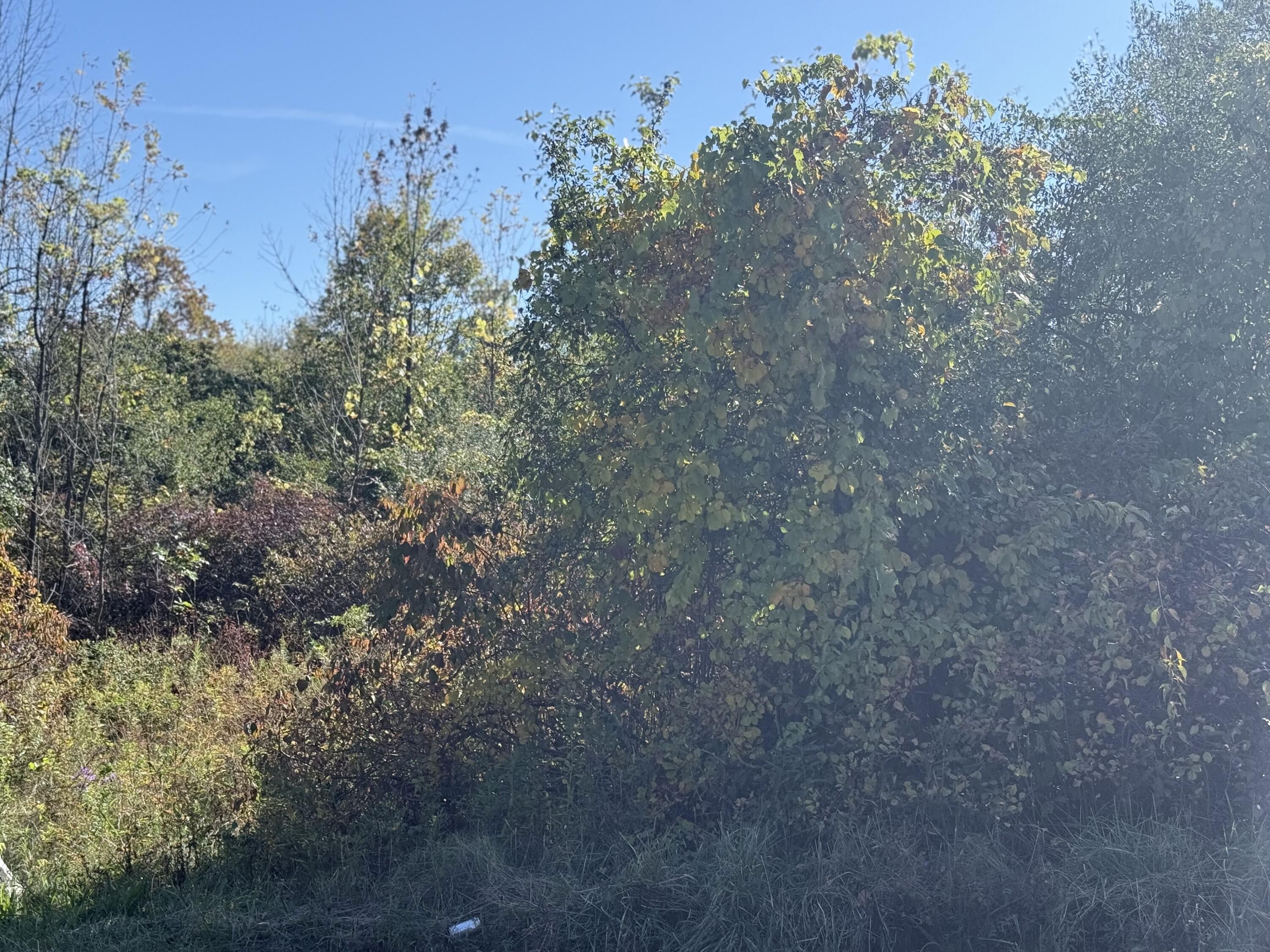 Voorheesville, New York 12186, United States, ,Commercial,Active,1324