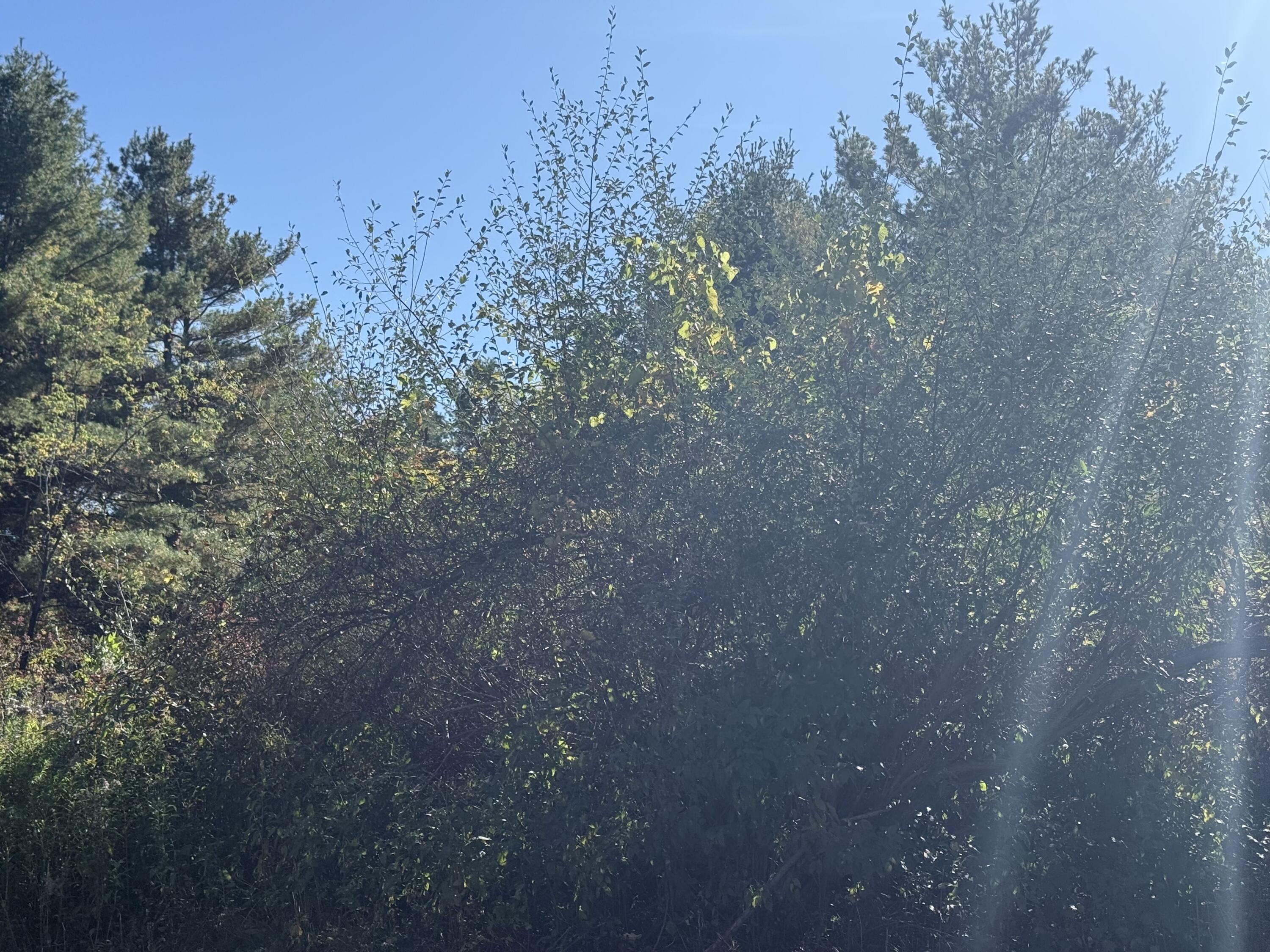 Voorheesville, New York 12186, United States, ,Commercial,Active,1324