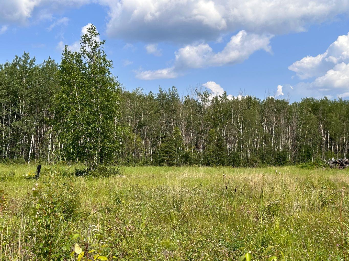 67417 McGrane Road 121