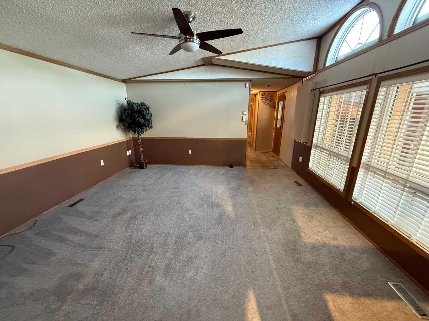 133 Jarvis Street 365