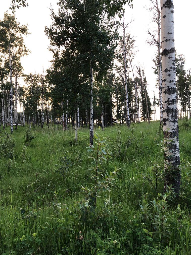 31048 50 Range Road 20