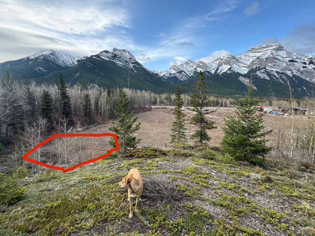 Photo of 16 Yamnuska Place, Exshaw, AB T0L 2C0 (MLS # A2326668)