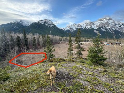 Photo of 16 Yamnuska Place, Exshaw, AB T0L 2C0 (MLS # A2326668)