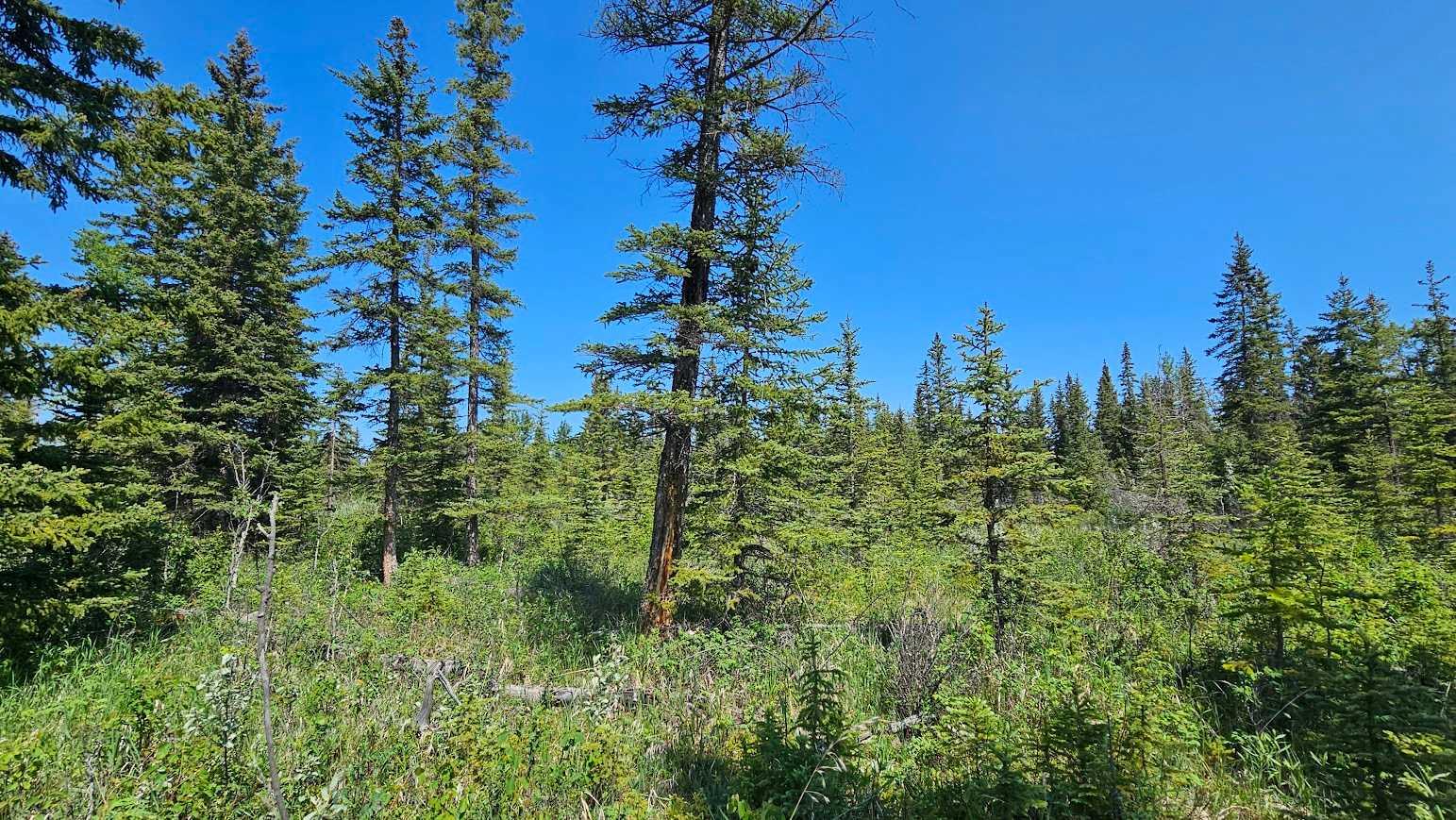 34364 Range Road 42 12