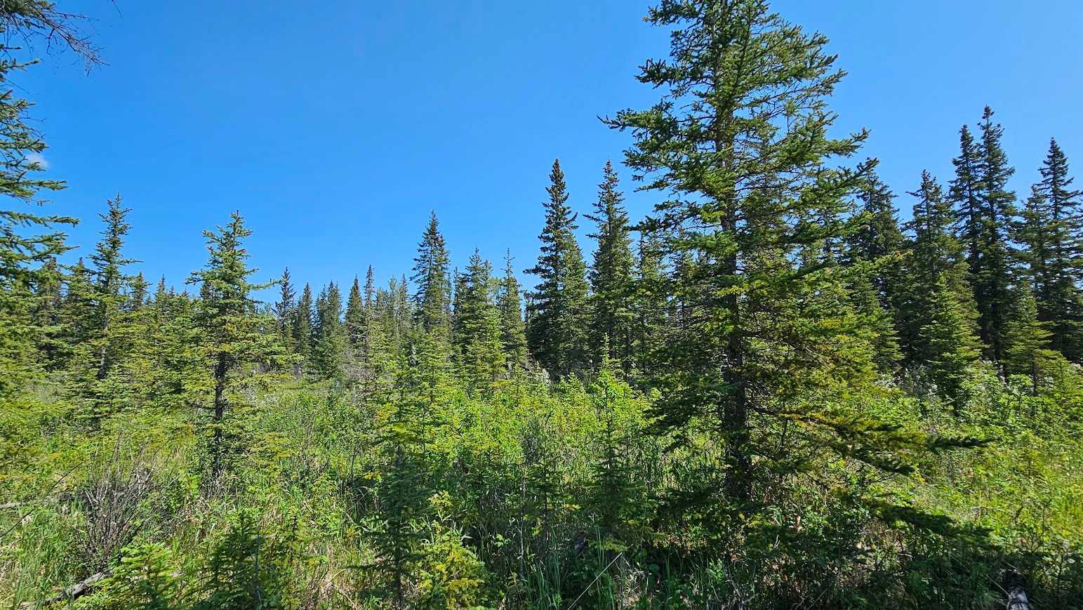 34364 Range Road 42 12