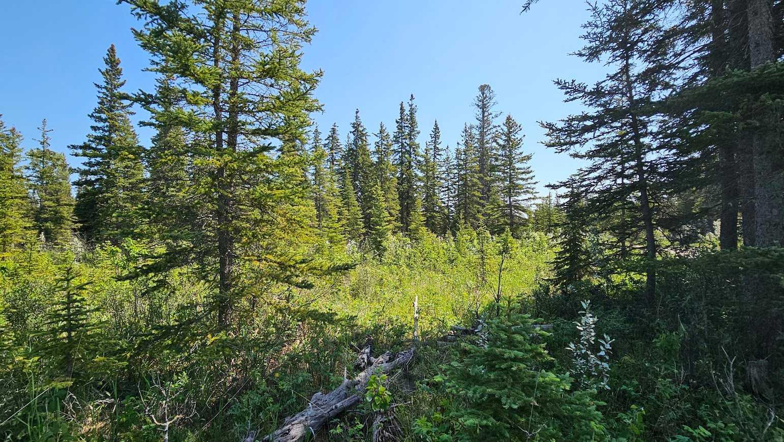 34364 Range Road 42 12