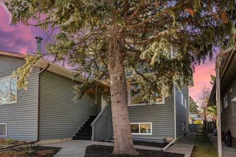 1613 43 Street SW Calgary AB T3C 2A5