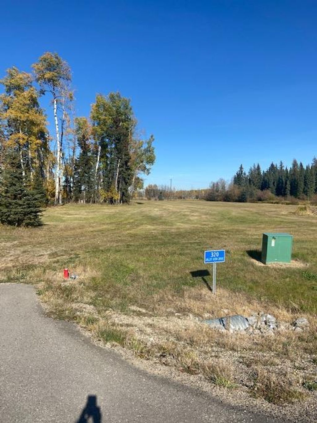 Photo of 320 Valley View Drive, Rural Clearwater County, AB T4T 1A7 (MLS # A2004758)