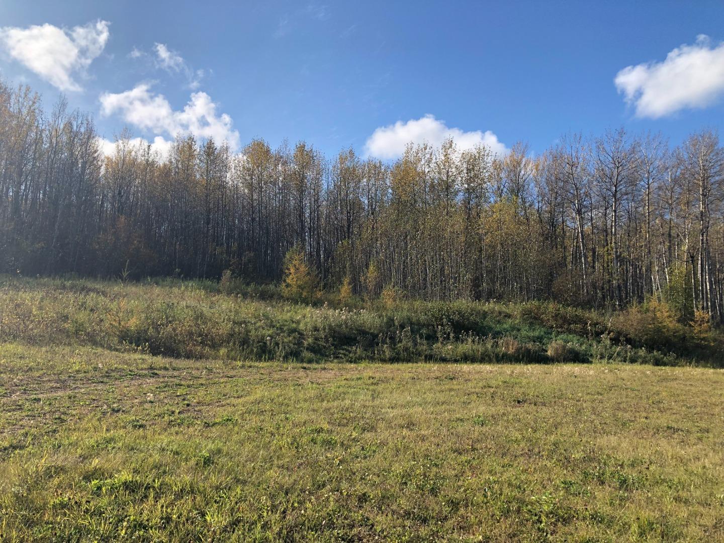 16326 Twp Rd 675 111