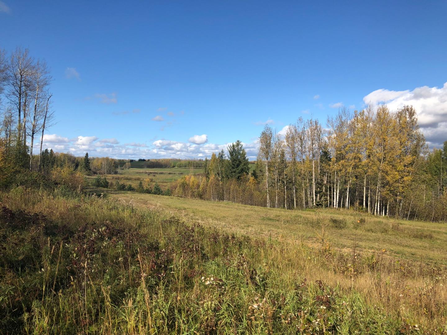 16326 Twp Rd 675 111