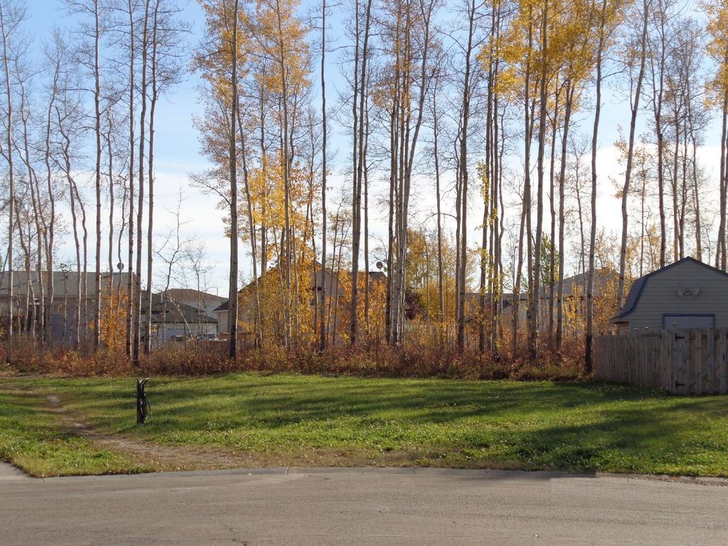 Photo of 5 Birch Close, High Level, AB T0H 1Z0 (MLS # A1027463)