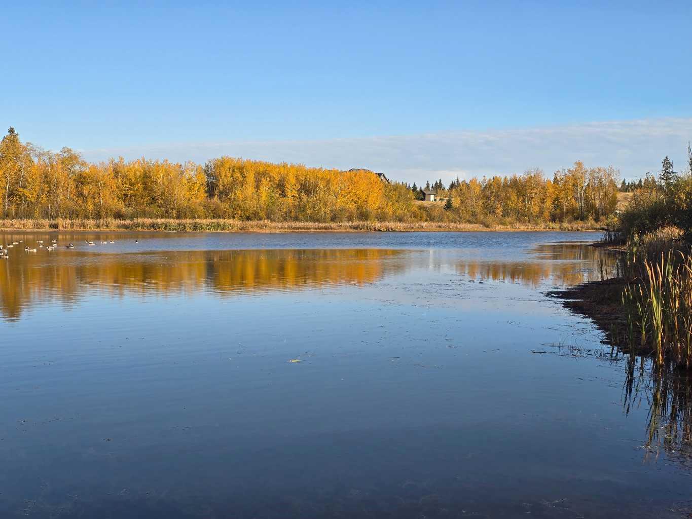 414 Sand Hills Drive