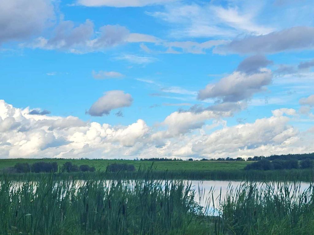 Photo of 2, 240054 Township Road 670, Rural Athabasca County, AB T9S 2B7 (MLS # A2073266)