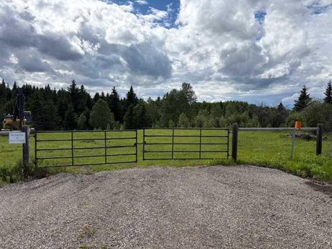Photo of Range Road 51, Rural Mountain View County, AB T0M 2E0 (MLS # A2322176)