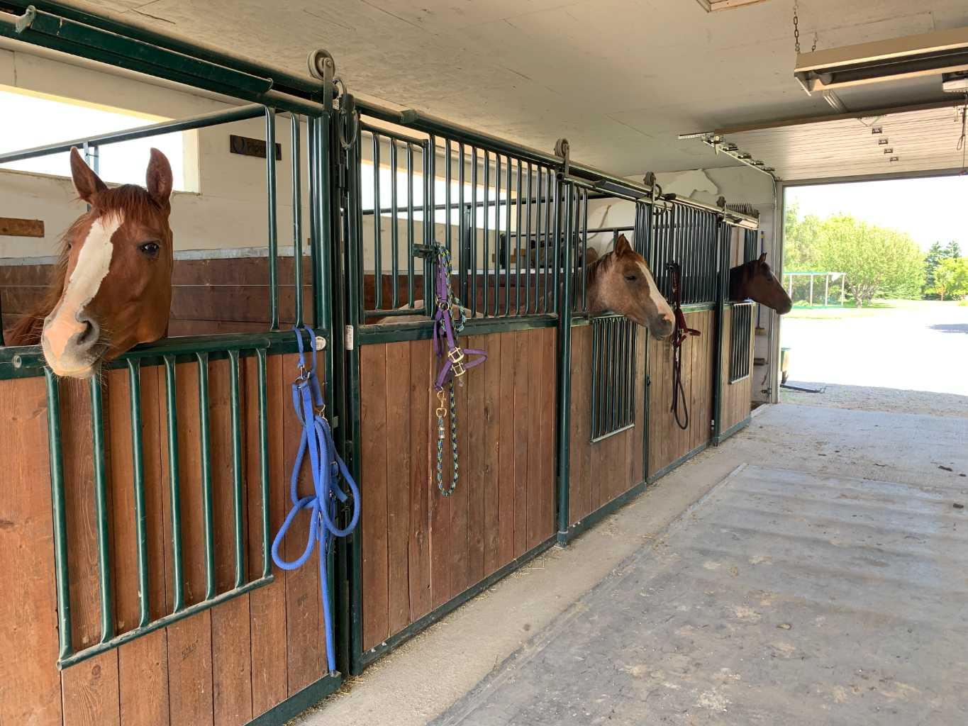 31240 Range Road 20 A 15