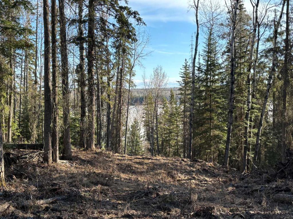 Photo of 17 Stirling Lane, Rural Lesser Slave River No. 124, M.D. of, AB T0G 2A0 (MLS # A2310313)